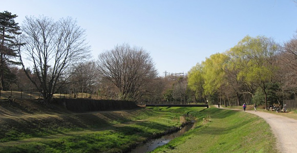 野川公園の春