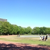 あまり遠出できない連休。近場でも緑がまぶしい「東大和南公園」でお散歩