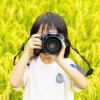 ブログのアイキャッチに使いたい無料写真素材サイト7選と、使わないサイトまとめ