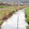 茨城の田舎でザリガニ釣り。8年前と変わらない風景の中で、貴重な体験ができた